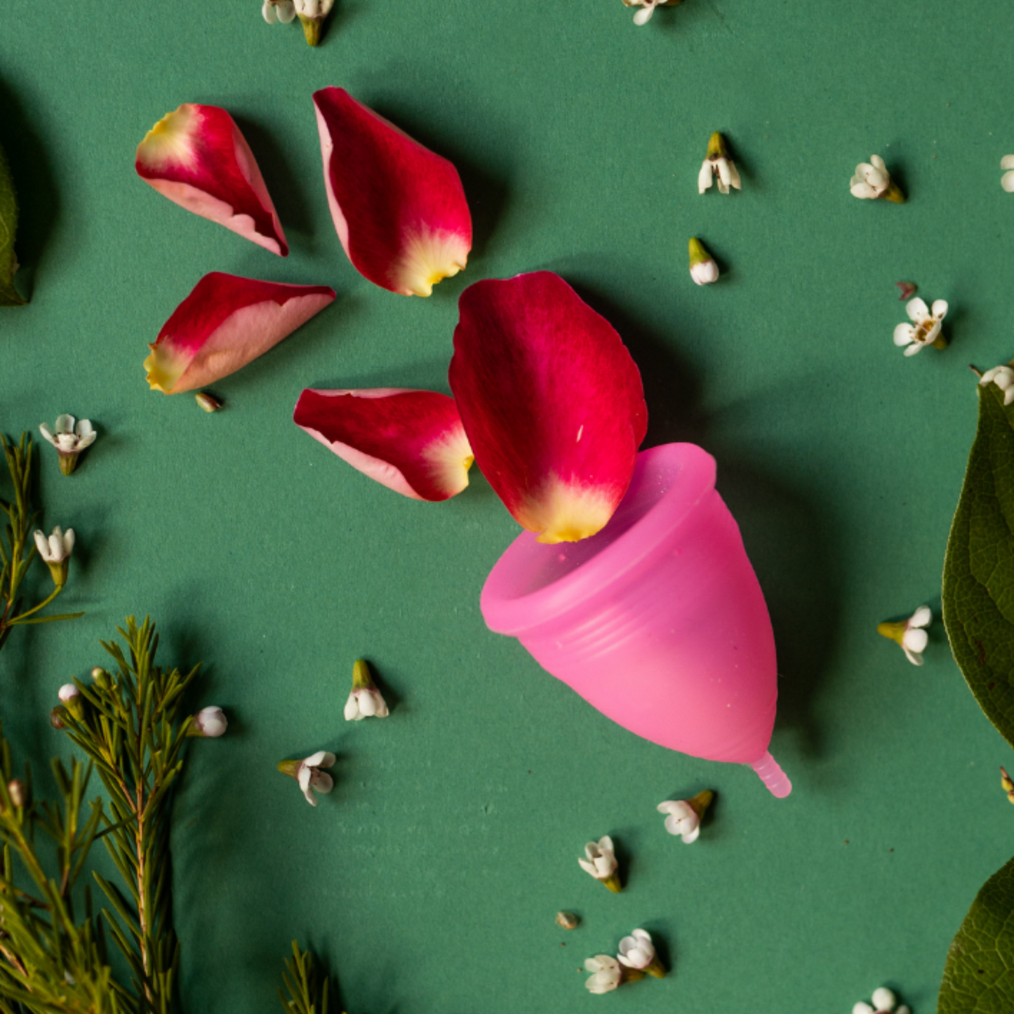 Rash-Free Small Menstrual Cup for Beginners - Pink & Reusable